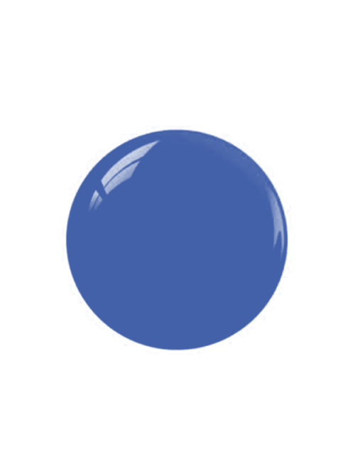 Cornflower